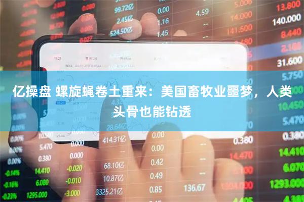 亿操盘 螺旋蝇卷土重来：美国畜牧业噩梦，人类头骨也能钻透