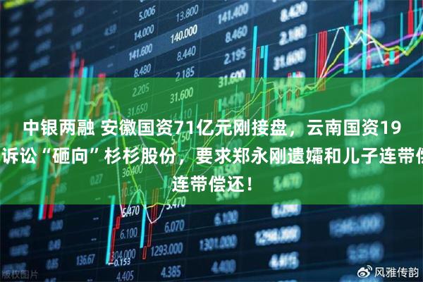 中银两融 安徽国资71亿元刚接盘，云南国资19亿元诉讼“砸向”杉杉股份，要求郑永刚遗孀和儿子连带偿还！