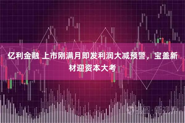 亿利金融 上市刚满月即发利润大减预警，宝盖新材迎资本大考