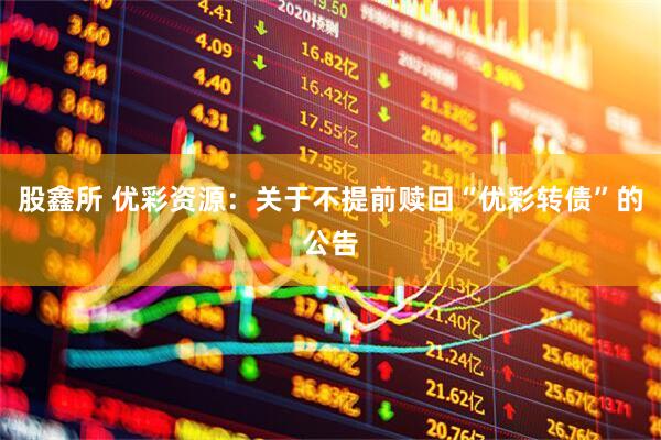 股鑫所 优彩资源：关于不提前赎回“优彩转债”的公告